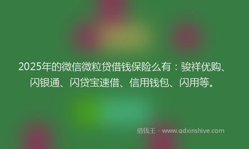 2025年的微信微粒贷借钱保险么有：骏祥优购、闪银通、闪贷宝速借、信用钱包、闪用等。