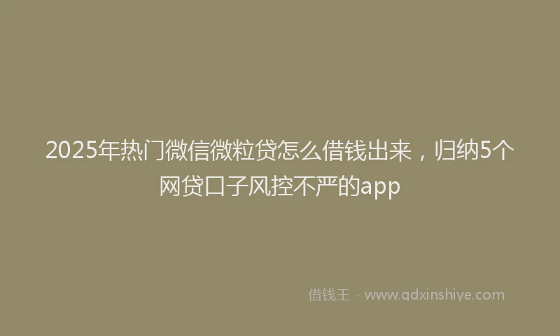 2025年热门微信微粒贷怎么借钱出来，归纳5个网贷口子风控不严的app