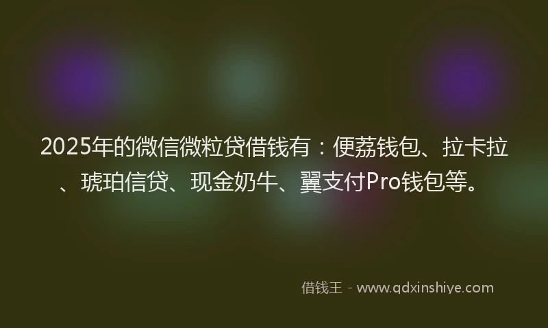 2025年的微信微粒贷借钱有：便荔钱包、拉卡拉、琥珀信贷、现金奶牛、翼支付Pro钱包等。