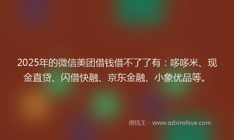 2025年的微信美团借钱借不了了有：哆哆米、现金直贷、闪借快融、京东金融、小象优品等。