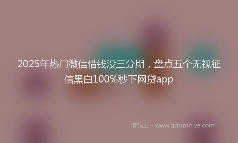 2025年热门微信借钱没三分期，盘点五个无视征信黑白100%秒下网贷app