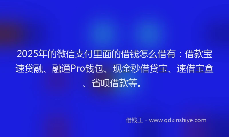 2025年的微信支付里面的借钱怎么借有：借款宝速贷融、融通Pro钱包、现金秒借贷宝、速借宝盒、省呗借款等。
