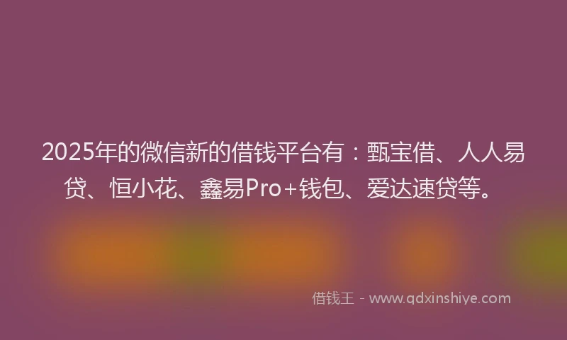 2025年的微信新的借钱平台有：甄宝借、人人易贷、恒小花、鑫易Pro+钱包、爱达速贷等。