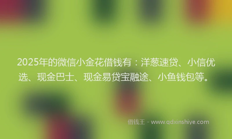 2025年的微信小金花借钱有：洋葱速贷、小信优选、现金巴士、现金易贷宝融途、小鱼钱包等。