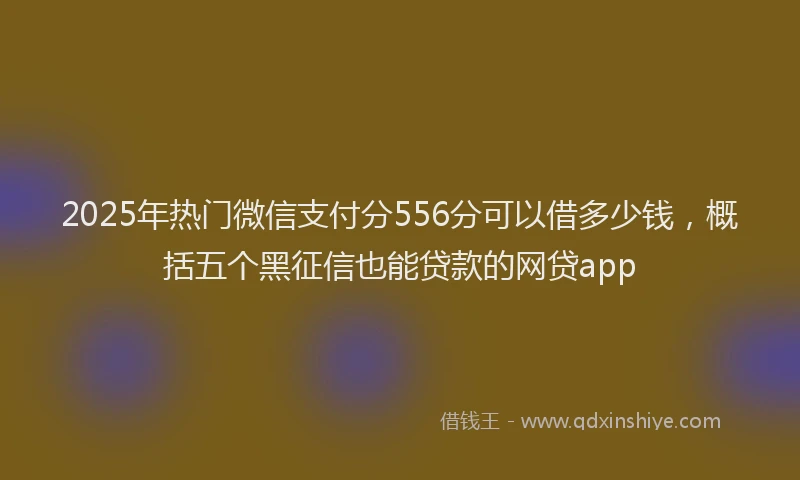 2025年热门微信支付分556分可以借多少钱，概括五个黑征信也能贷款的网贷app
