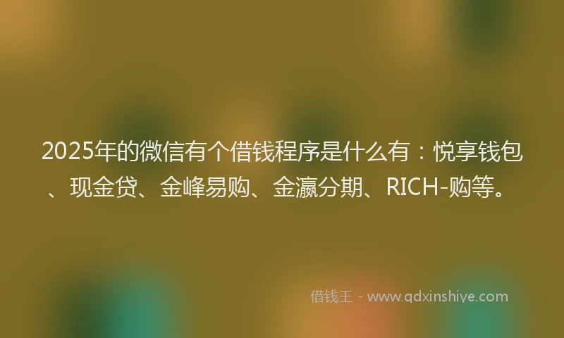 2025年的微信有个借钱程序是什么有：悦享钱包、现金贷、金峰易购、金瀛分期、RICH-购等。