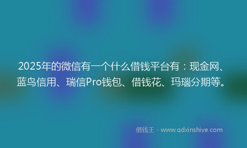 2025年的微信有一个什么借钱平台有：现金网、蓝鸟信用、瑞信Pro钱包、借钱花、玛瑙分期等。