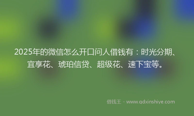 2025年的微信怎么开口问人借钱有：时光分期、宜享花、琥珀信贷、超级花、速下宝等。