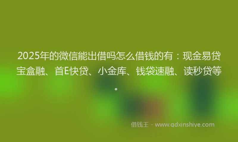 2025年的微信能出借吗怎么借钱的有：现金易贷宝盒融、首E快贷、小金库、钱袋速融、读秒贷等。