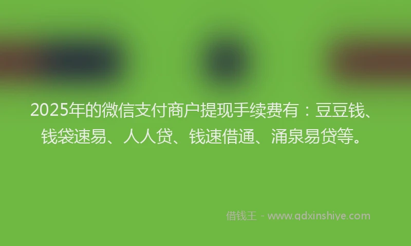 2025年的微信支付商户提现手续费有：豆豆钱、钱袋速易、人人贷、钱速借通、涌泉易贷等。