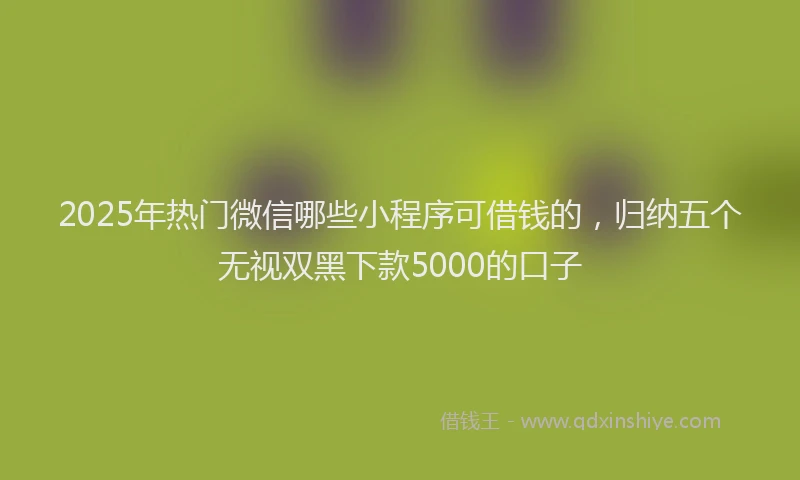 2025年热门微信哪些小程序可借钱的，归纳五个无视双黑下款5000的口子