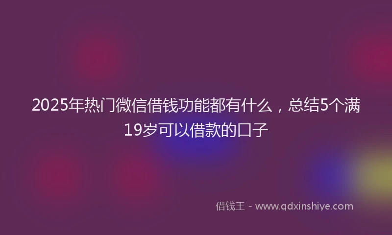 2025年热门微信借钱功能都有什么，总结5个满19岁可以借款的口子