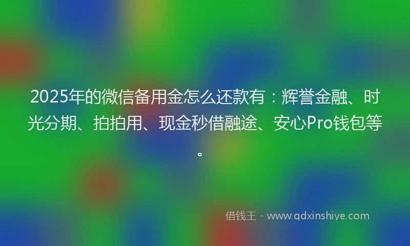 2025年的微信备用金怎么还款有：辉誉金融、时光分期、拍拍用、现金秒借融途、安心Pro钱包等。