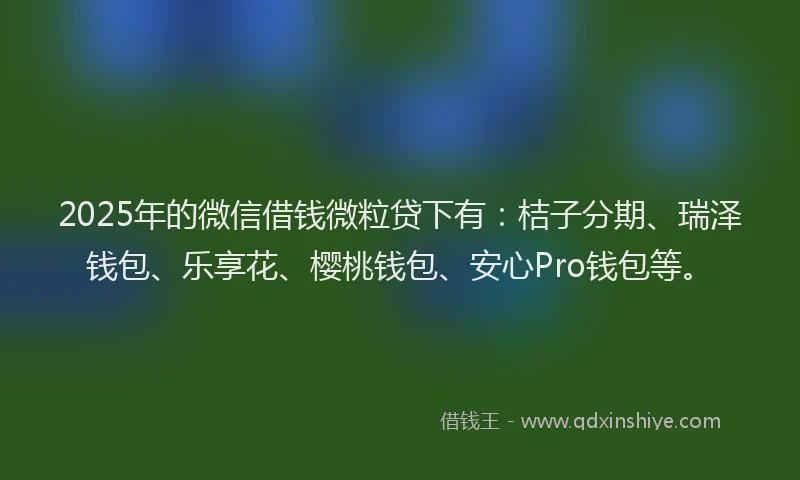 2025年的微信借钱微粒贷下有：桔子分期、瑞泽钱包、乐享花、樱桃钱包、安心Pro钱包等。