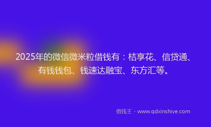 2025年的微信微米粒借钱有：桔享花、信贷通、有钱钱包、钱速达融宝、东方汇等。