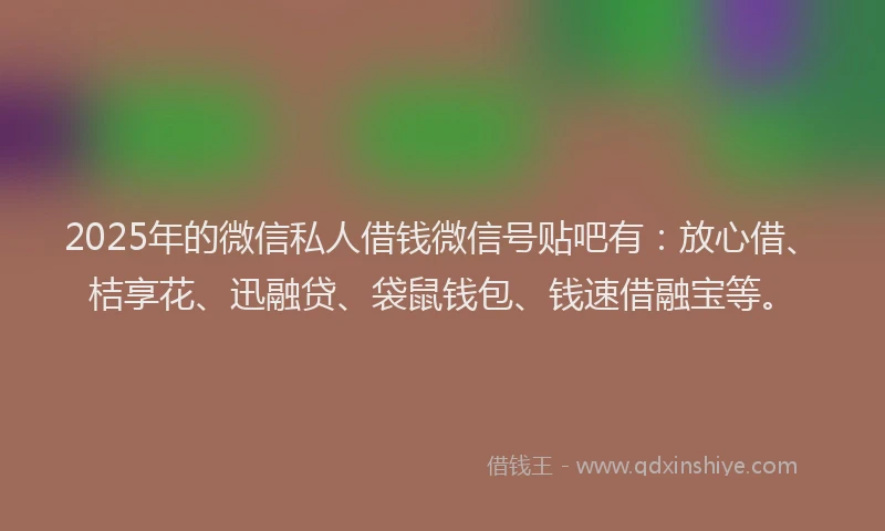 2025年的微信私人借钱微信号贴吧有：放心借、桔享花、迅融贷、袋鼠钱包、钱速借融宝等。