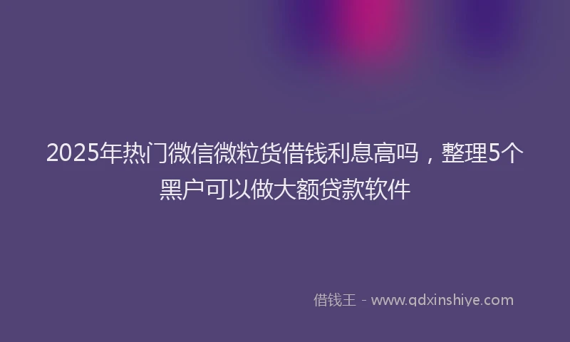 2025年热门微信微粒货借钱利息高吗，整理5个黑户可以做大额贷款软件