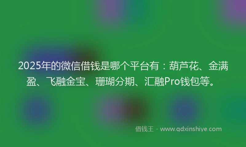 2025年的微信借钱是哪个平台有：葫芦花、金满盈、飞融金宝、珊瑚分期、汇融Pro钱包等。
