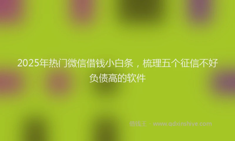 2025年热门微信借钱小白条，梳理五个征信不好负债高的软件