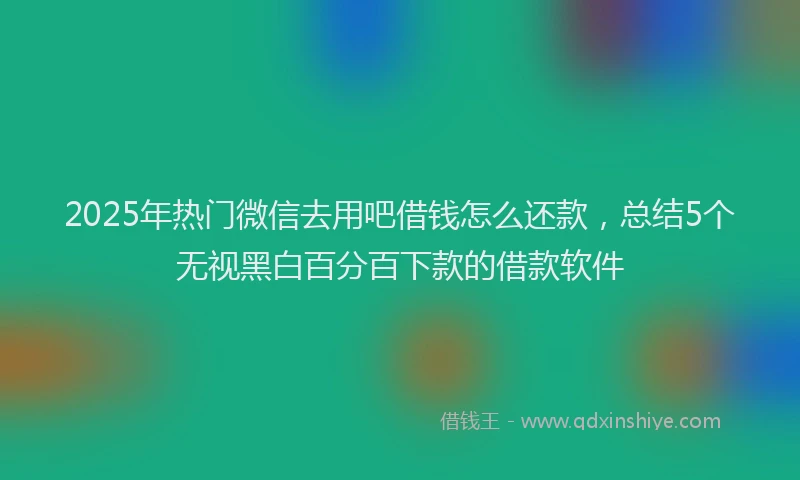 2025年热门微信去用吧借钱怎么还款，总结5个无视黑白百分百下款的借款软件