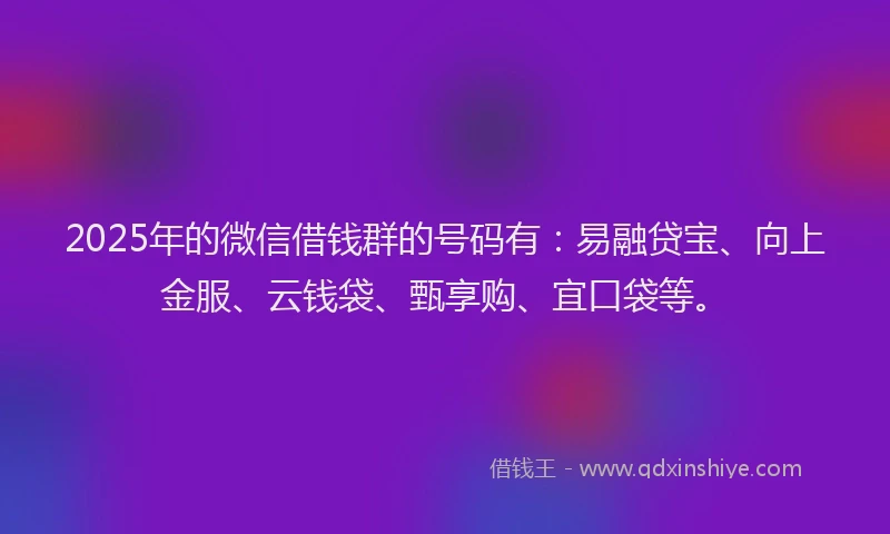 2025年的微信借钱群的号码有：易融贷宝、向上金服、云钱袋、甄享购、宜口袋等。