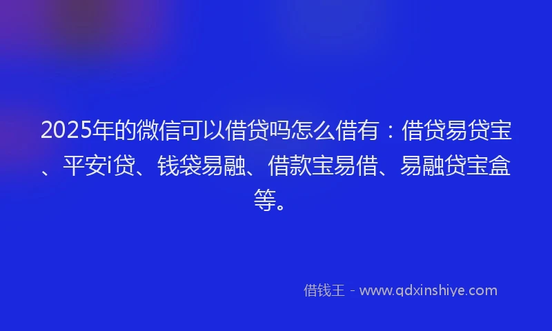 2025年的微信可以借贷吗怎么借有：借贷易贷宝、平安i贷、钱袋易融、借款宝易借、易融贷宝盒等。