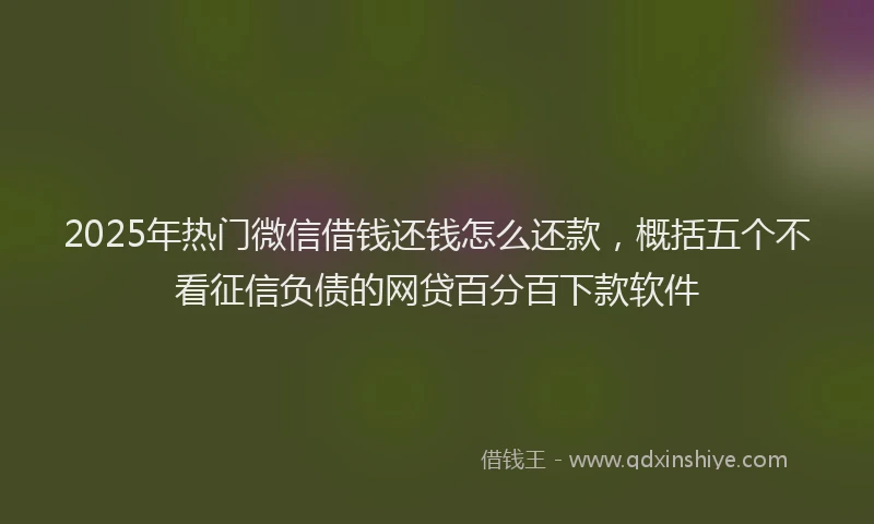 2025年热门微信借钱还钱怎么还款，概括五个不看征信负债的网贷百分百下款软件