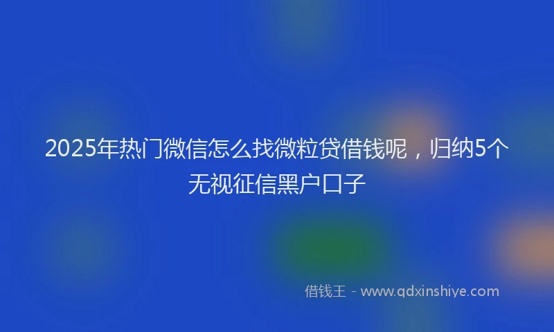 2025年热门微信怎么找微粒贷借钱呢，归纳5个无视征信黑户口子