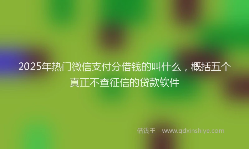 2025年热门微信支付分借钱的叫什么，概括五个真正不查征信的贷款软件