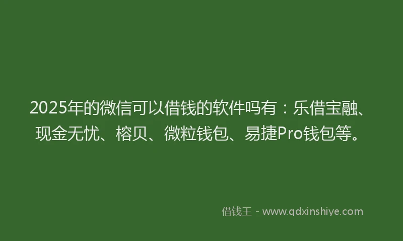 2025年的微信可以借钱的软件吗有：乐借宝融、现金无忧、榕贝、微粒钱包、易捷Pro钱包等。