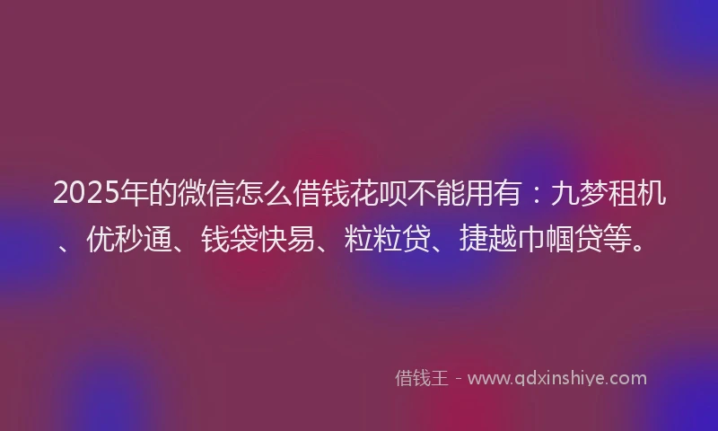 2025年的微信怎么借钱花呗不能用有：九梦租机、优秒通、钱袋快易、粒粒贷、捷越巾帼贷等。