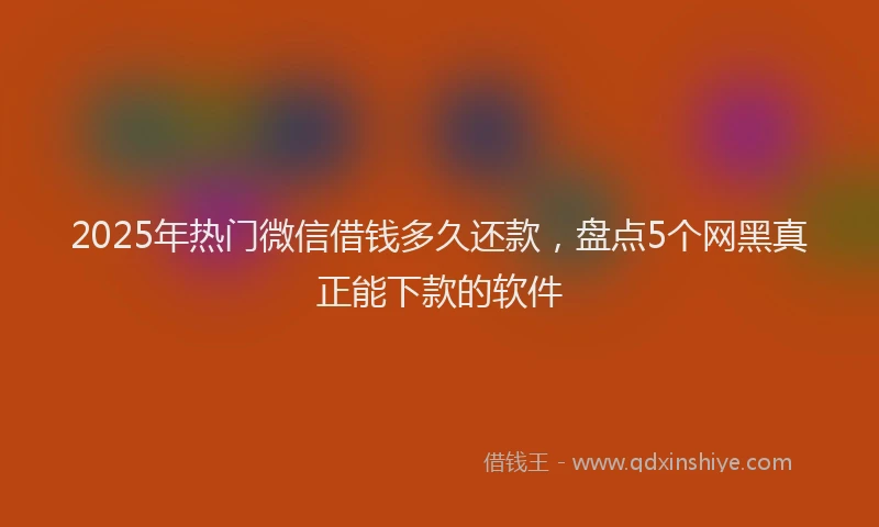 2025年热门微信借钱多久还款，盘点5个网黑真正能下款的软件