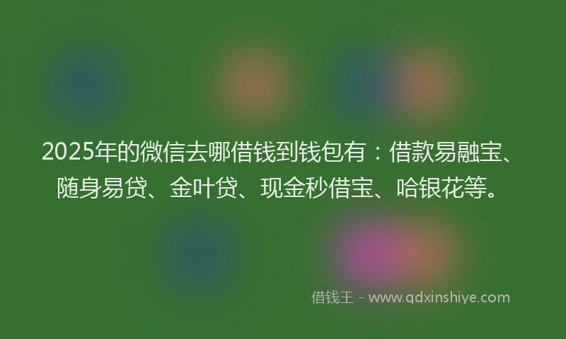 2025年的微信去哪借钱到钱包有：借款易融宝、随身易贷、金叶贷、现金秒借宝、哈银花等。