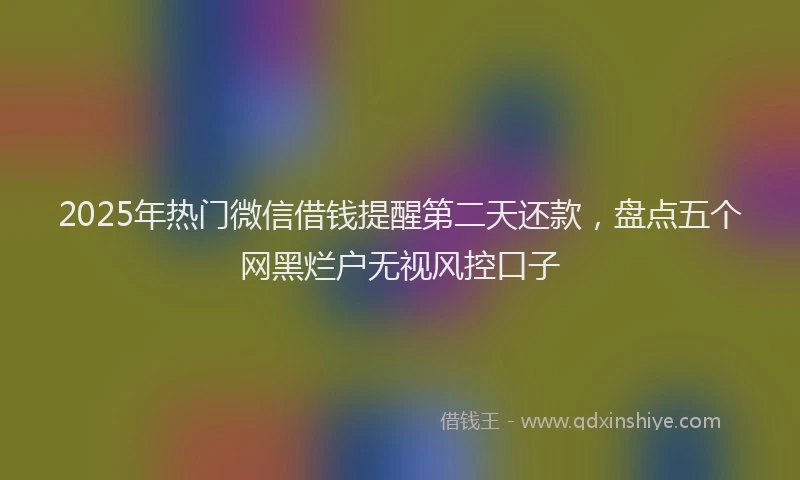 2025年热门微信借钱提醒第二天还款，盘点五个网黑烂户无视风控口子