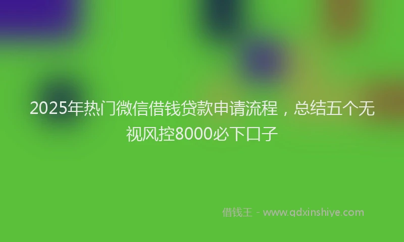 2025年热门微信借钱贷款申请流程，总结五个无视风控8000必下口子