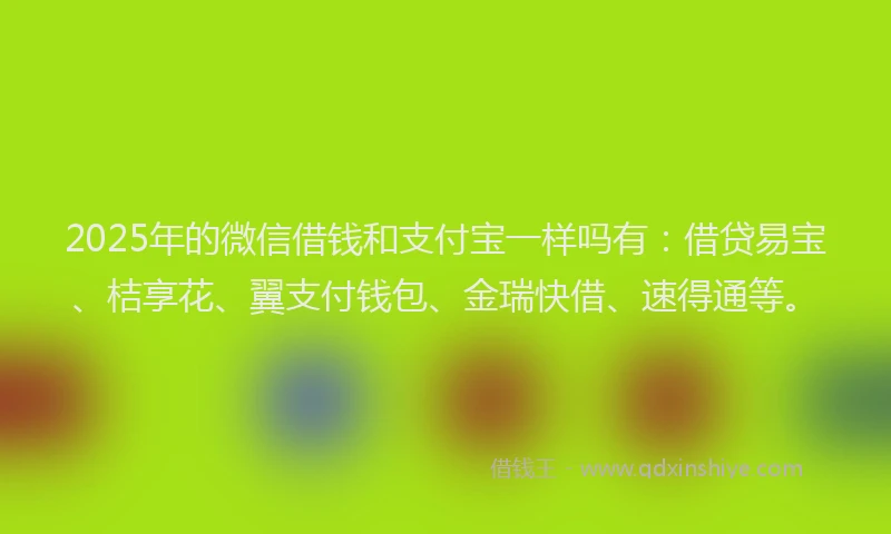 2025年的微信借钱和支付宝一样吗有：借贷易宝、桔享花、翼支付钱包、金瑞快借、速得通等。