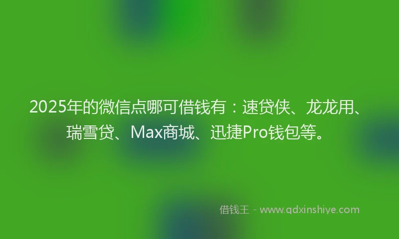 2025年的微信点哪可借钱有：速贷侠、龙龙用、瑞雪贷、Max商城、迅捷Pro钱包等。