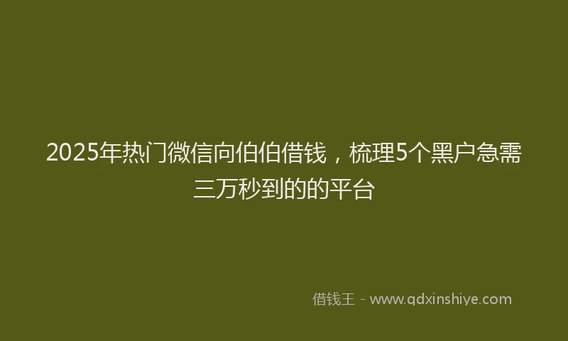 2025年热门微信向伯伯借钱，梳理5个黑户急需三万秒到的的平台