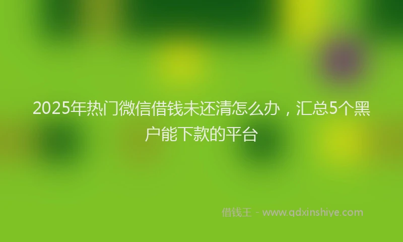 2025年热门微信借钱未还清怎么办，汇总5个黑户能下款的平台