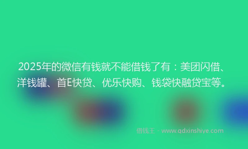 2025年的微信有钱就不能借钱了有：美团闪借、洋钱罐、首E快贷、优乐快购、钱袋快融贷宝等。