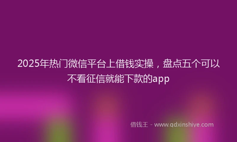 2025年热门微信平台上借钱实操，盘点五个可以不看征信就能下款的app