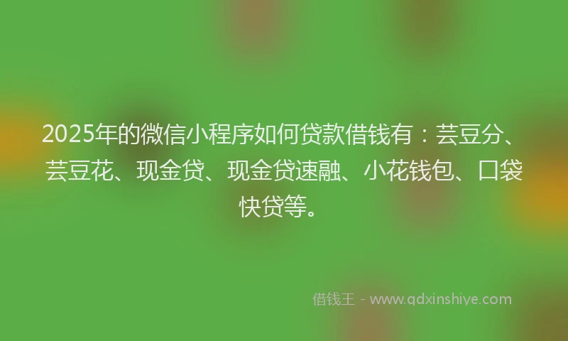 2025年的微信小程序如何贷款借钱有：芸豆分、芸豆花、现金贷、现金贷速融、小花钱包、口袋快贷等。