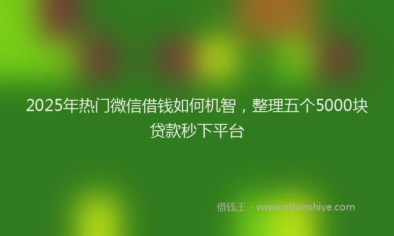2025年热门微信借钱如何机智，整理五个5000块贷款秒下平台