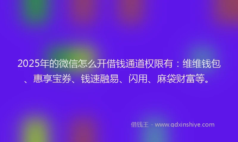 2025年的微信怎么开借钱通道权限有：维维钱包、惠享宝券、钱速融易、闪用、麻袋财富等。
