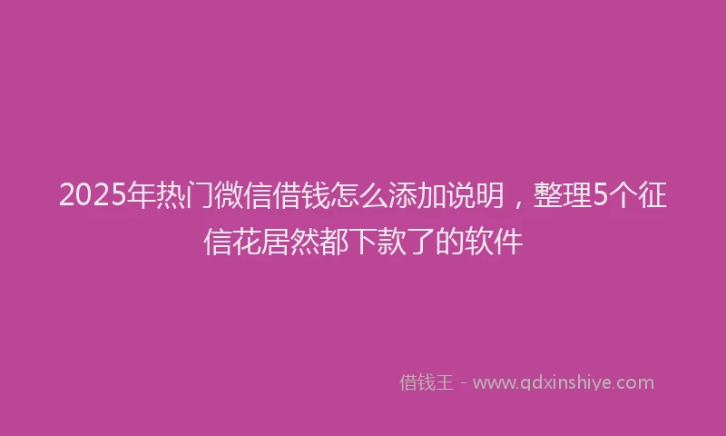 2025年热门微信借钱怎么添加说明，整理5个征信花居然都下款了的软件