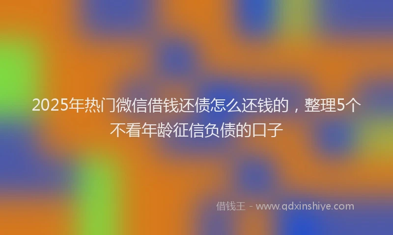 2025年热门微信借钱还债怎么还钱的，整理5个不看年龄征信负债的口子