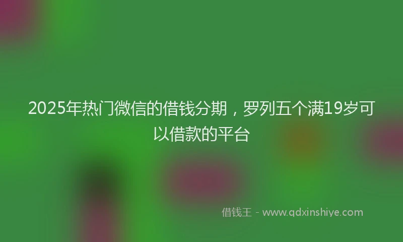 2025年热门微信的借钱分期，罗列五个满19岁可以借款的平台