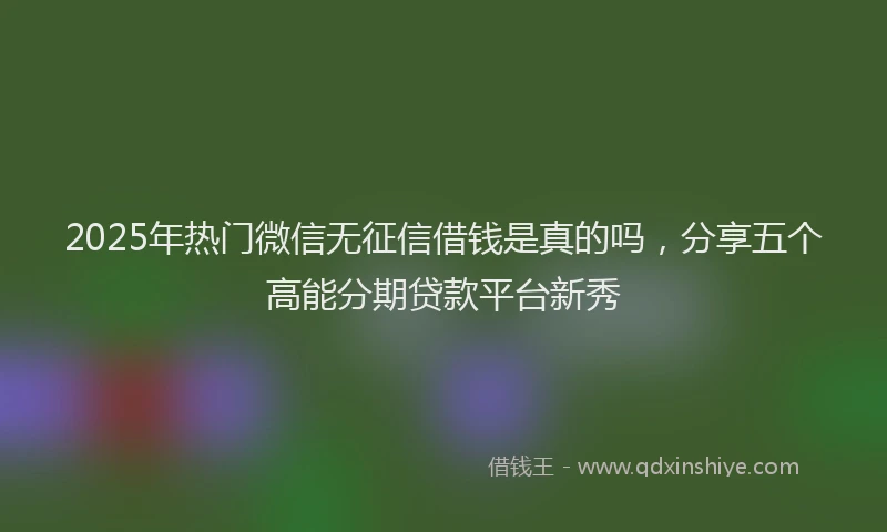 2025年热门微信无征信借钱是真的吗，分享五个高能分期贷款平台新秀