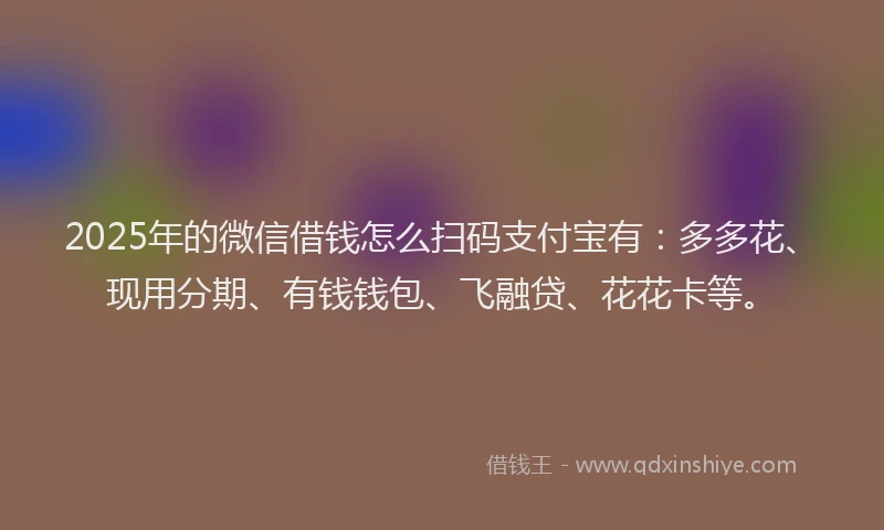 2025年的微信借钱怎么扫码支付宝有：多多花、现用分期、有钱钱包、飞融贷、花花卡等。