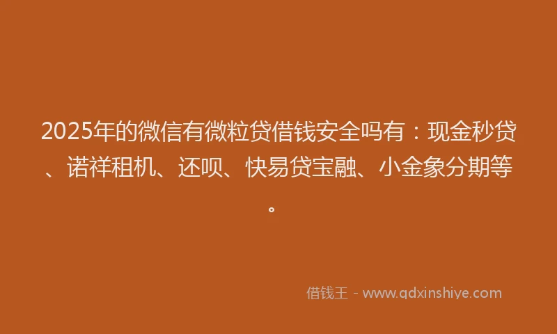 2025年的微信有微粒贷借钱安全吗有：现金秒贷、诺祥租机、还呗、快易贷宝融、小金象分期等。